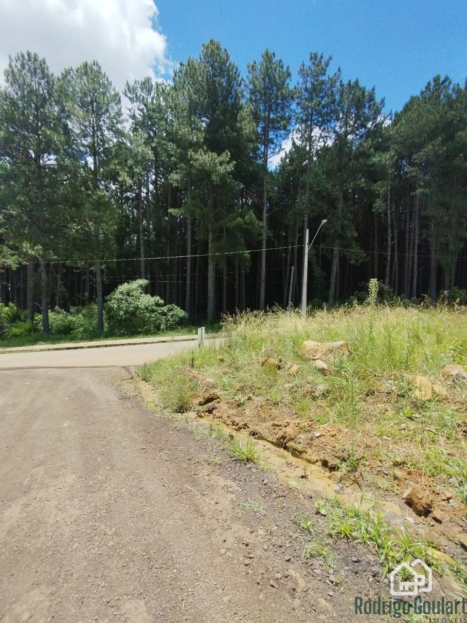 WhatsApp Image 2025-12-02 at 14.34.12 (1)