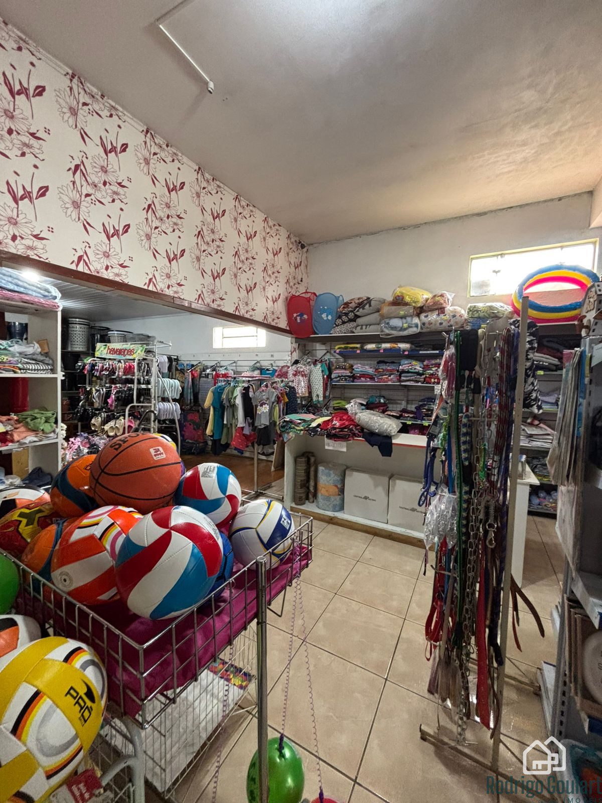 WhatsApp Image 2026-02-09 at 15.23.41