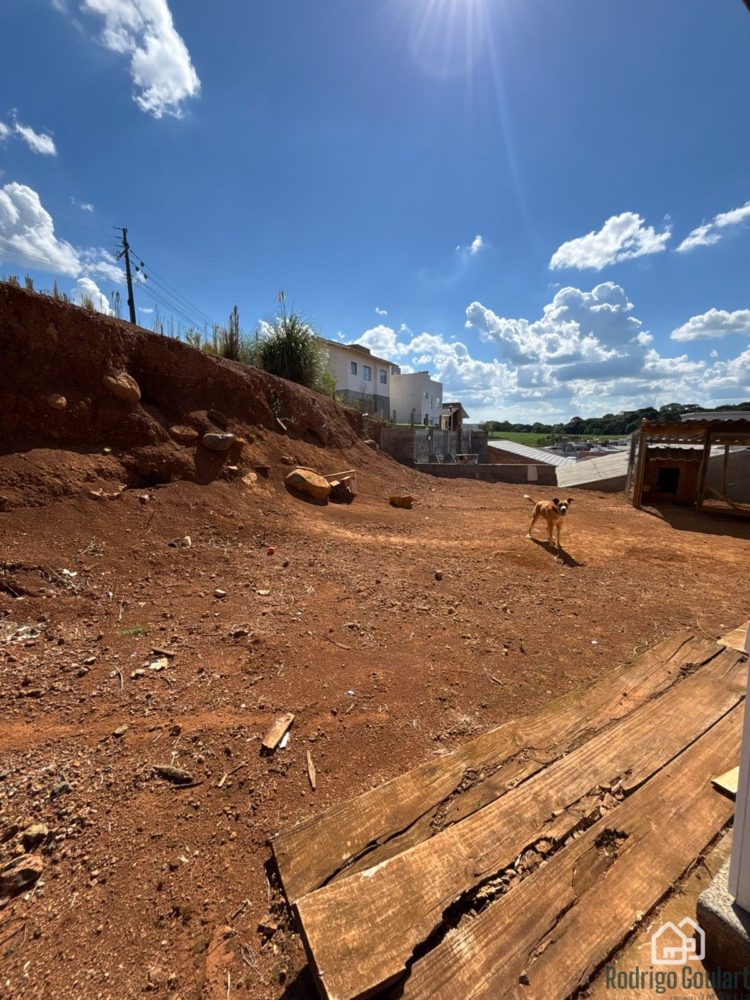 WhatsApp Image 2026-02-11 at 15.36.22