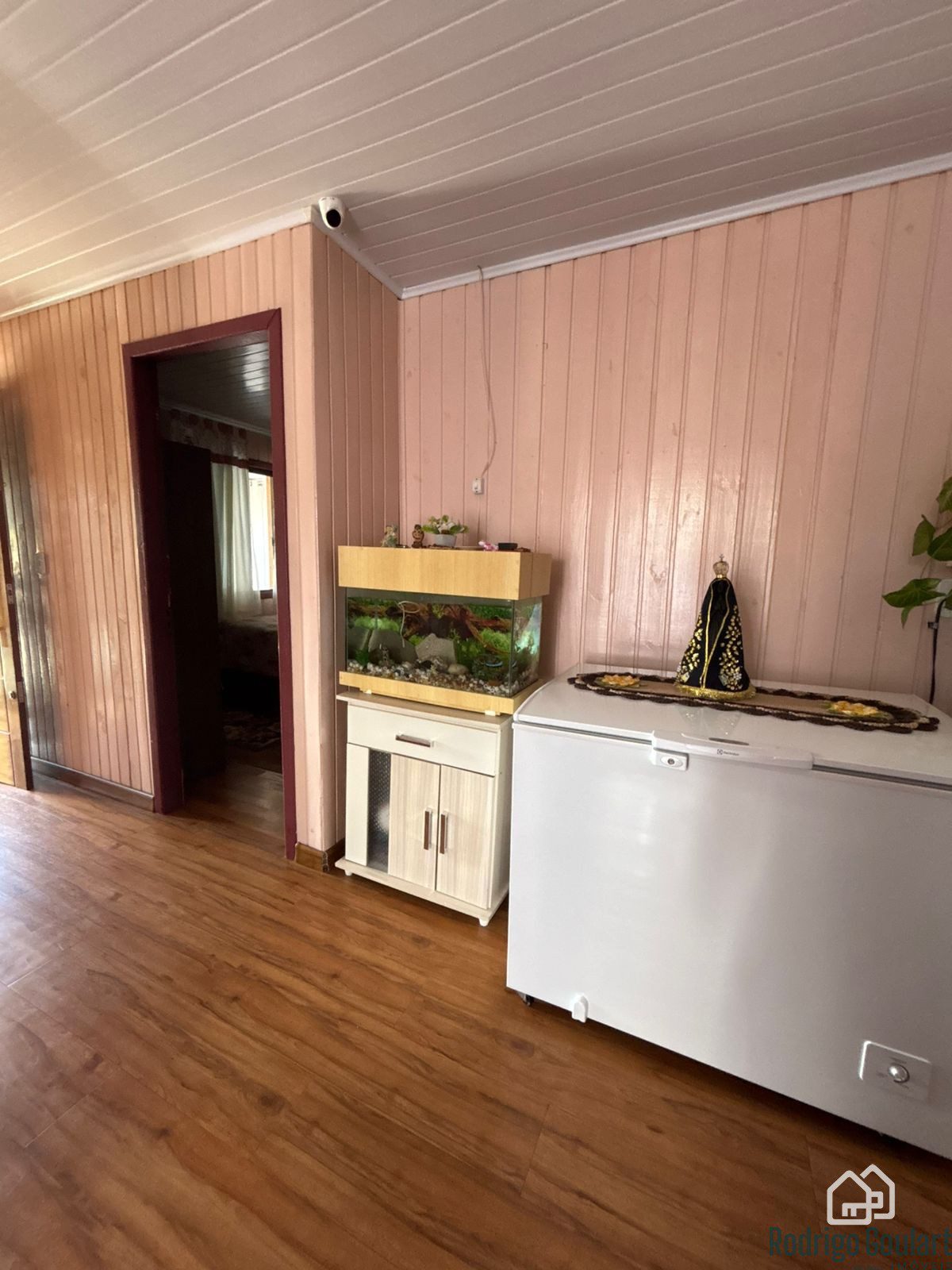 WhatsApp Image 2026-02-17 at 13.25.01