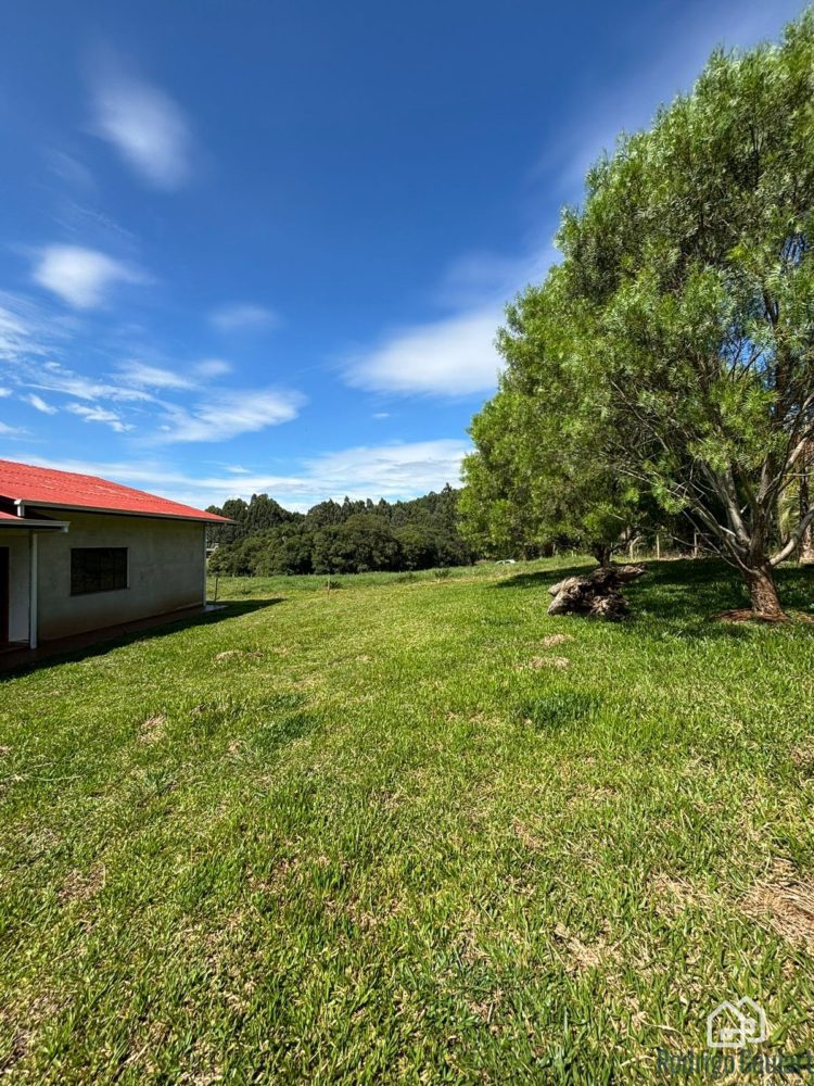 WhatsApp Image 2026-02-18 at 16.16.30