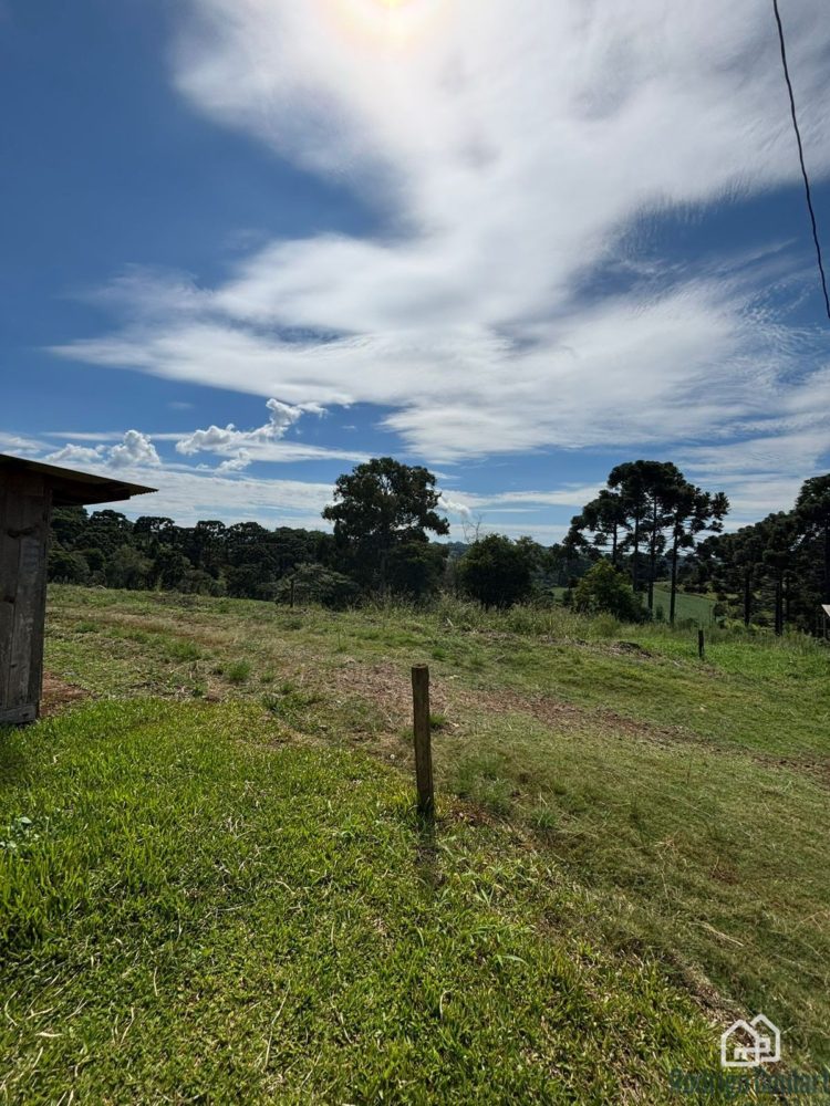 WhatsApp Image 2026-02-18 at 16.16.41