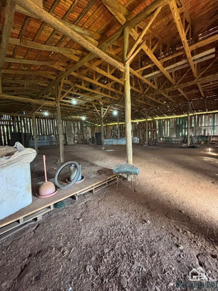 WhatsApp Image 2026-02-18 at 16.20.03