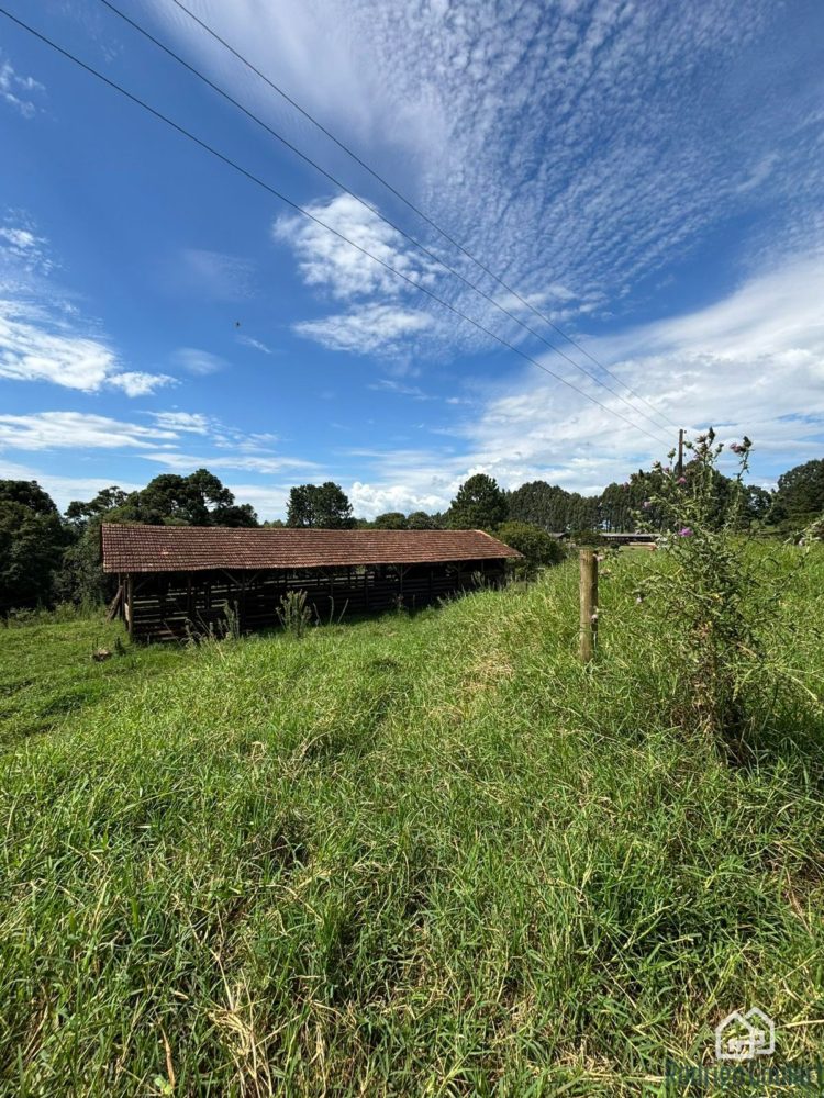 WhatsApp Image 2026-02-18 at 16.20.04 (1)