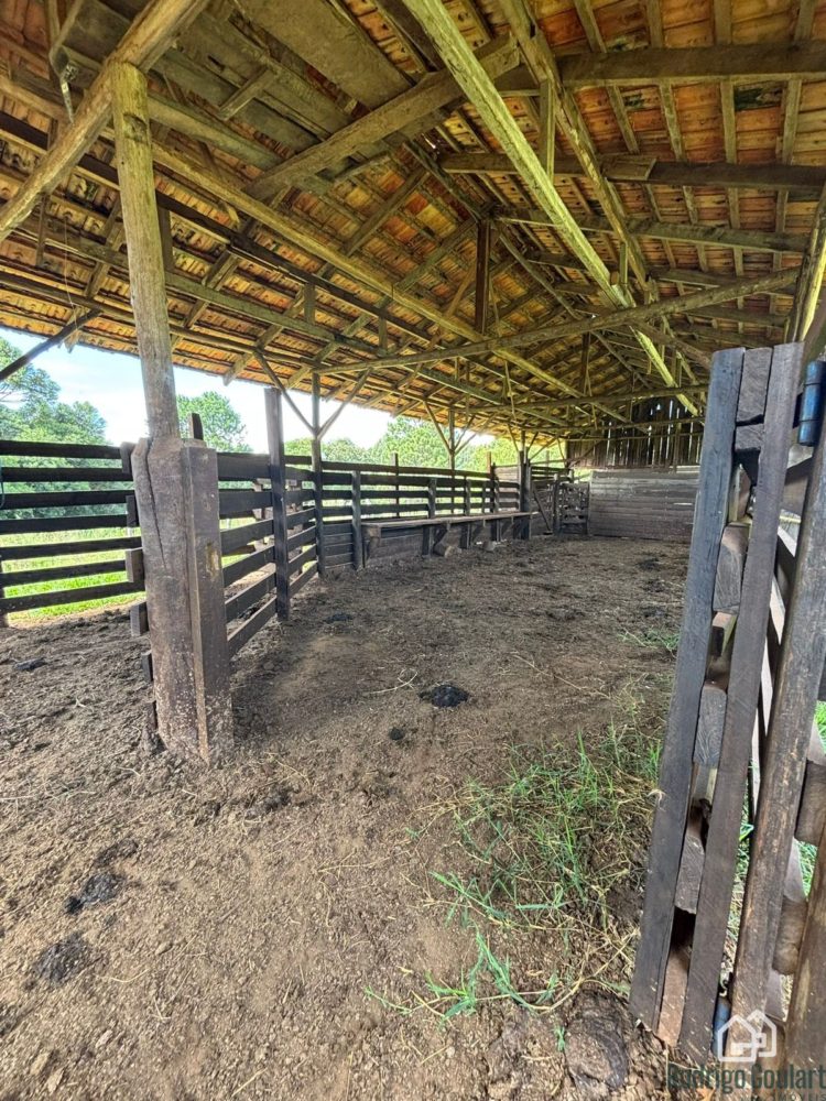 WhatsApp Image 2026-02-18 at 16.20.05