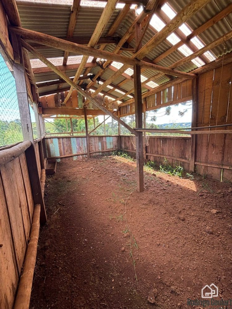 WhatsApp Image 2026-02-18 at 16.20.07