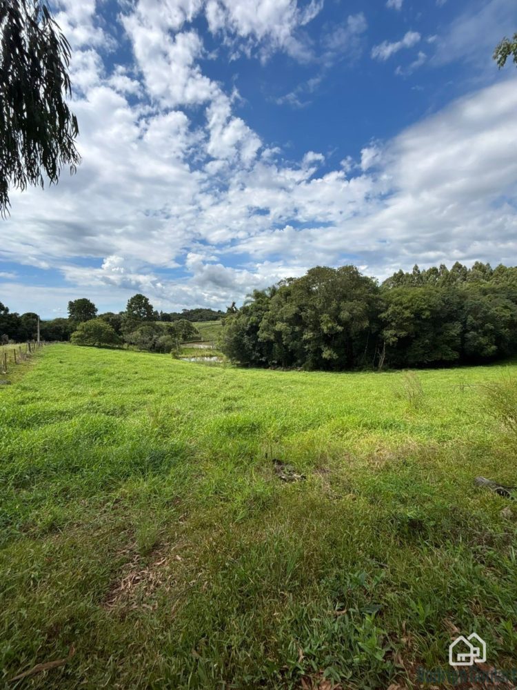 WhatsApp Image 2026-02-18 at 16.20.09 (2)