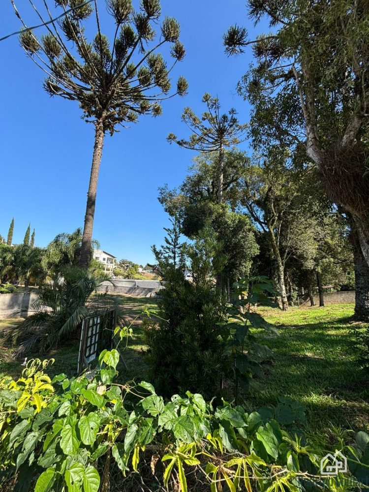 WhatsApp Image 2026-04-06 at 09.56.21 (3)