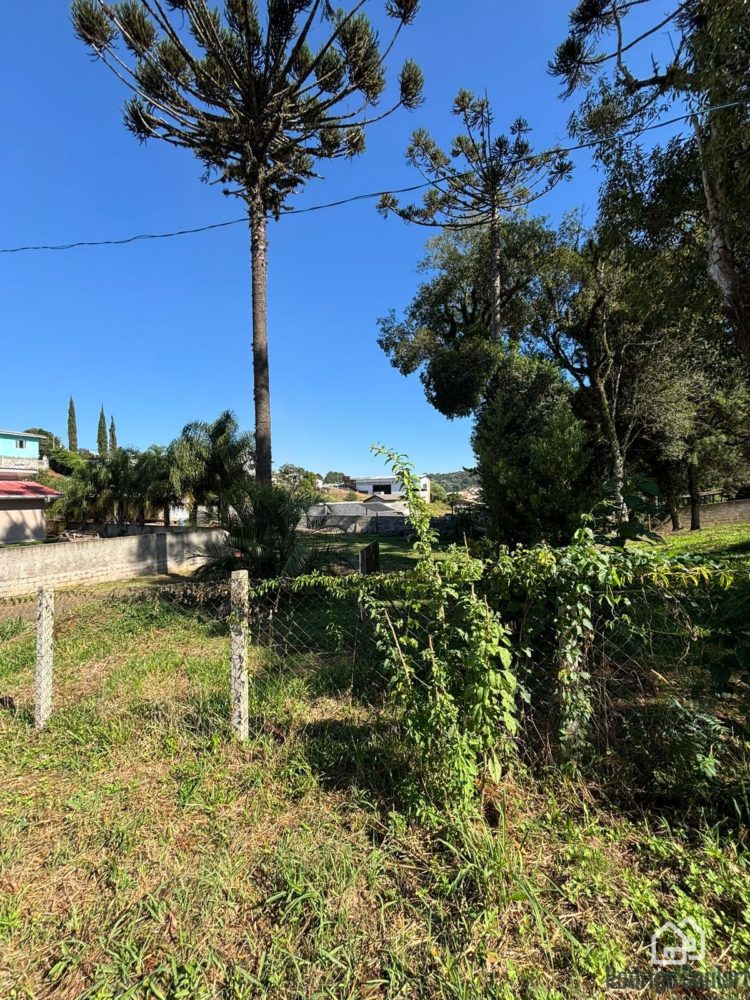 WhatsApp Image 2026-04-06 at 09.56.22 (2)